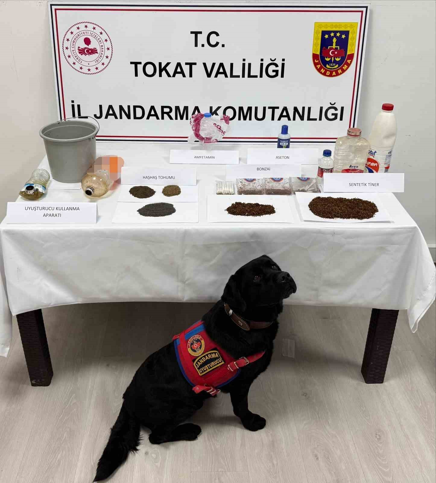 tokatta jandarmadan uyusturucu operasyonu 8 gozalti 3 wrmhAFfl