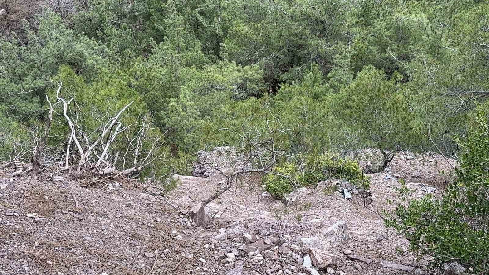 Tokat’ta kayıp olarak aranan kişinin 100 metrelik uçurumda cansız bedeni bulundu 7 tokatta kayip olarak aranan kisinin 100 metrelik ucurumda cansiz bedeni bulundu 3 i3PdBBbE