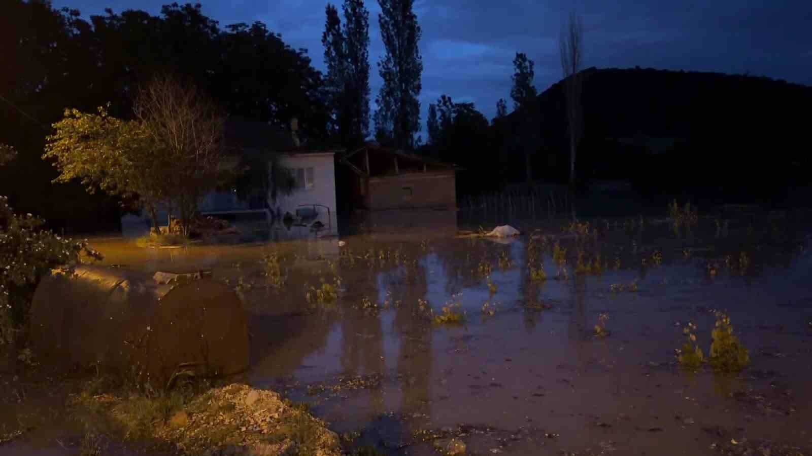 tokatta kelkit cayi tasti koyu su basti 4 wanilclt