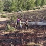 tokatta-ortu-yangini-15-donum-ekili-arazi-kule-dondu-4ldKfPzr.jpg
