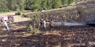 tokatta-ortu-yangini-15-donum-ekili-arazi-kule-dondu-4ldKfPzr.jpg