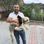 tokatta-saglik-personelinden-yarali-kuzuya-tum-tesekkullu-mudahale-lxM919iX.jpg