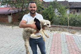 El Nino sıcakları için uzman uyarısı: Çocuklar ve yaşlılar risk altında 3 thumbnail