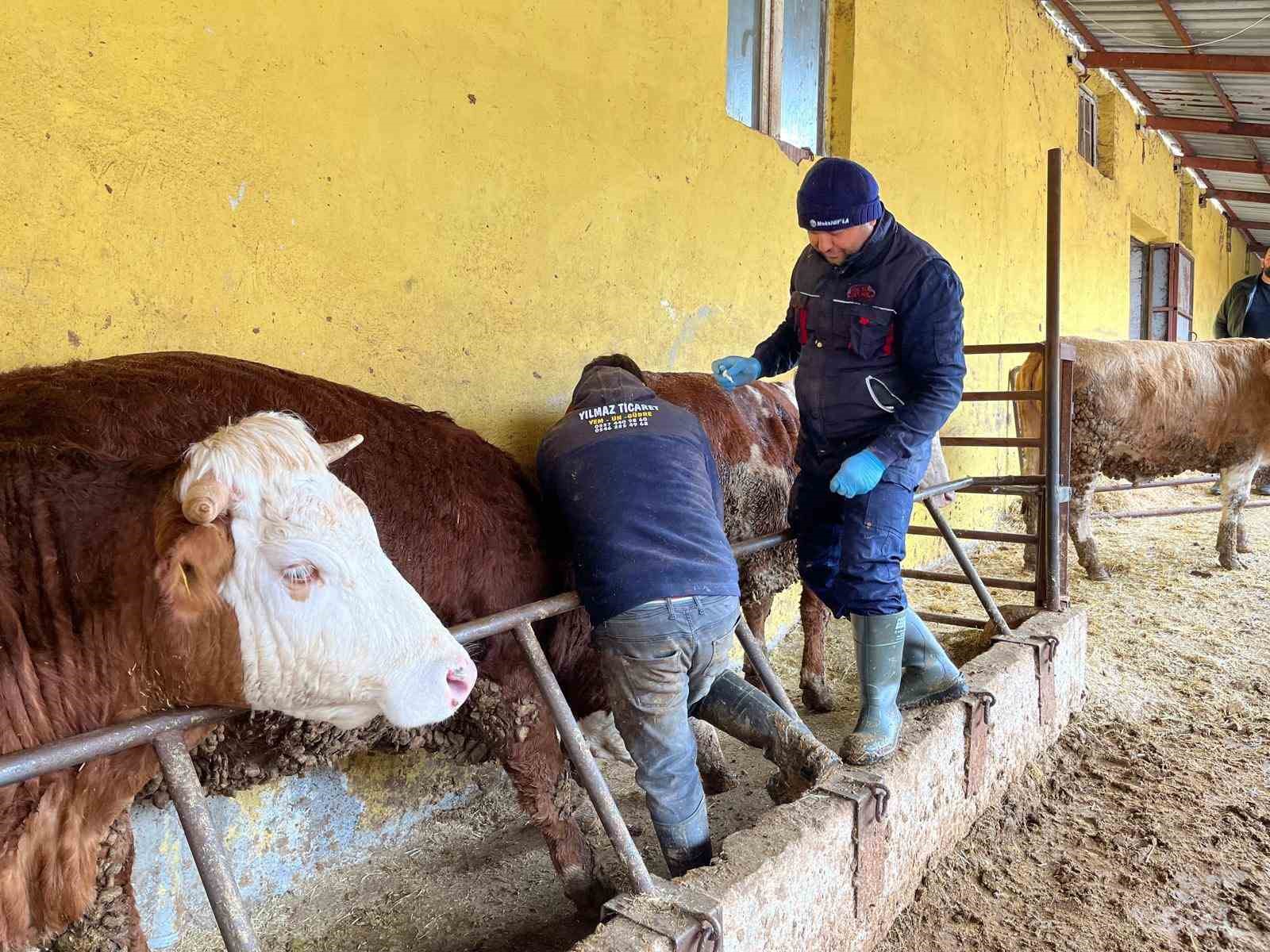 tokatta sap hastaligina karsi yogun mesai 2 wUkz85ZN