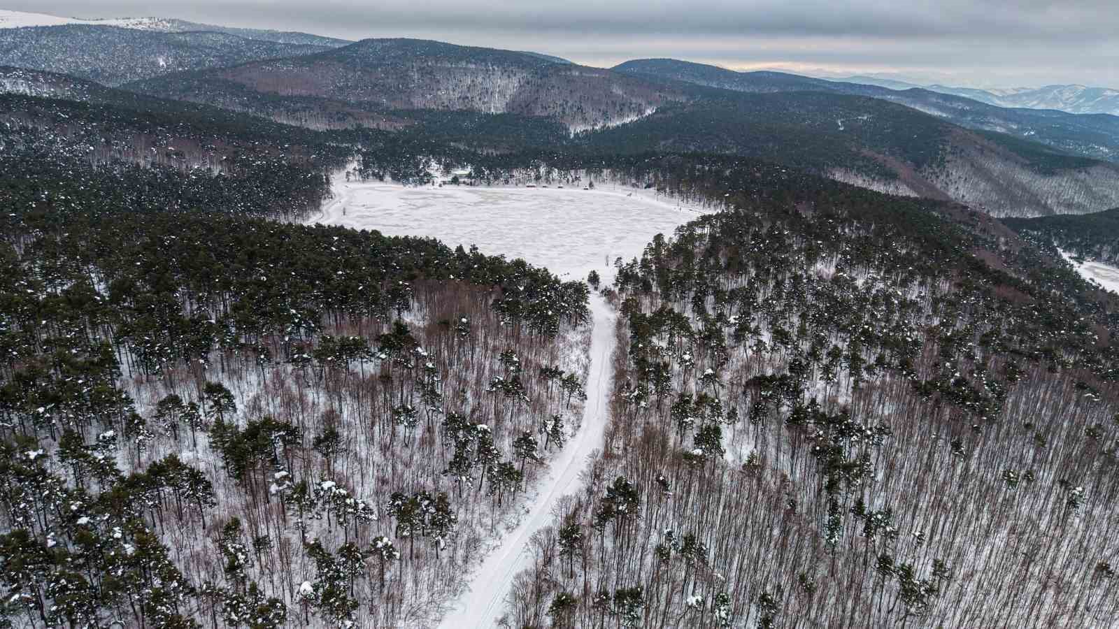 tokattaki kurt golunun kis manzarasi mest etti 1 Sew13V8v