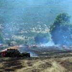 tonlarca-saman-balyasi-yandi-N7LnYfx3.jpg