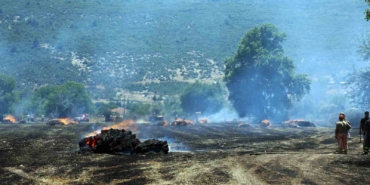 tonlarca-saman-balyasi-yandi-N7LnYfx3.jpg