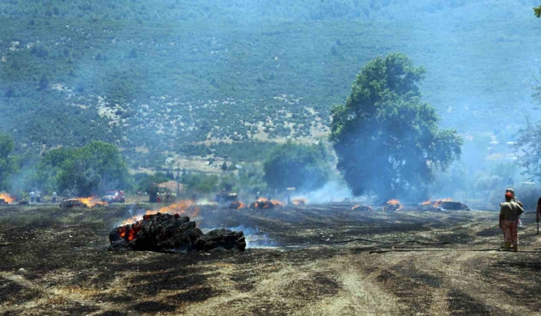 tonlarca-saman-balyasi-yandi-N7LnYfx3.jpg