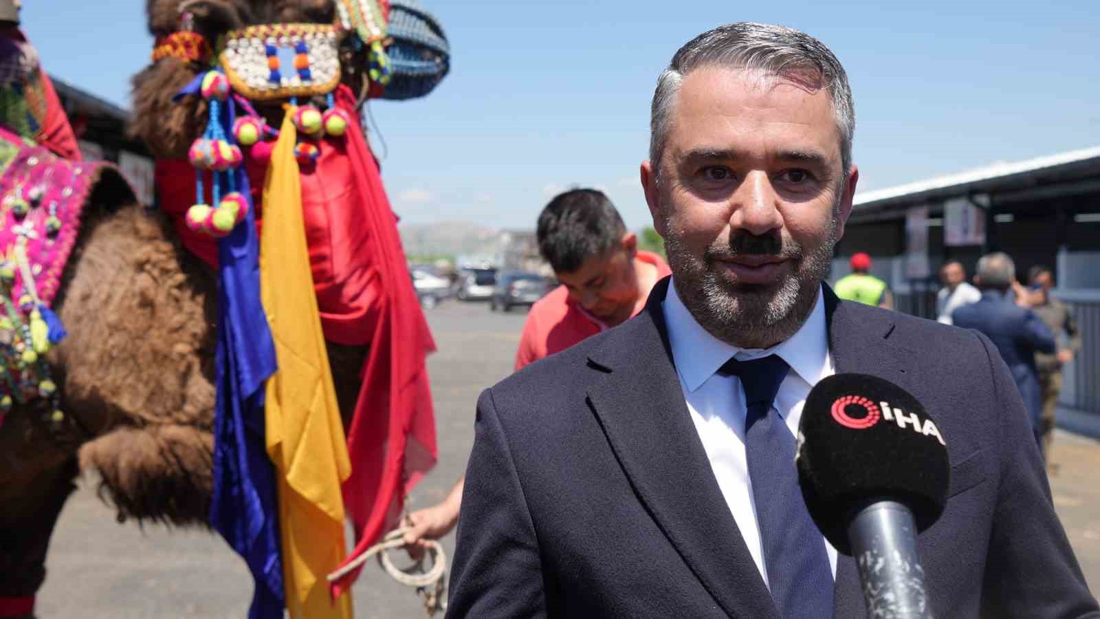 Tonluk develer ve danalar görücüye çıktı: Kurban pazarının gözdesi develer oldu 8 tonluk develer ve danalar gorucuye cikti kurban pazarinin gozdesi develer oldu 4