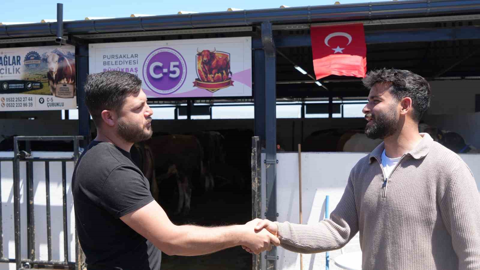 Tonluk develer ve danalar görücüye çıktı: Kurban pazarının gözdesi develer oldu 10 tonluk develer ve danalar gorucuye cikti kurban pazarinin gozdesi develer oldu 6 34YIWQiT