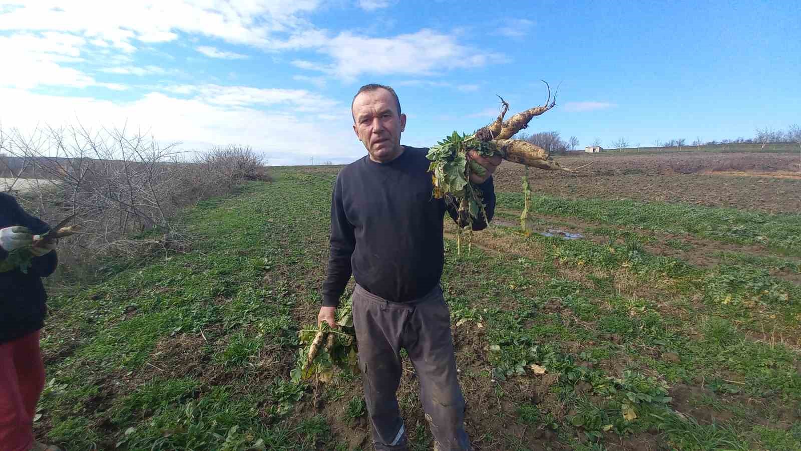 topraga emek cocuklara gelecek kari koca dort mevsim tarlada calisiyor 2 YIrdpFE2