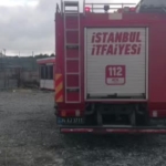 topraga-saplanan-iki-buyukbas-hayvani-itfaiye-kurtardi-DBye5cfi.jpg