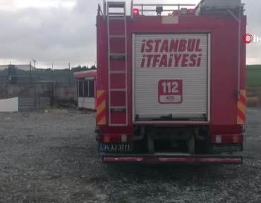 topraga-saplanan-iki-buyukbas-hayvani-itfaiye-kurtardi-DBye5cfi.jpg