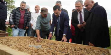 topraktaki-altin-salebin-hasadi-basladi-kilosu-12-bin-tl-YuMBrxW3.jpg