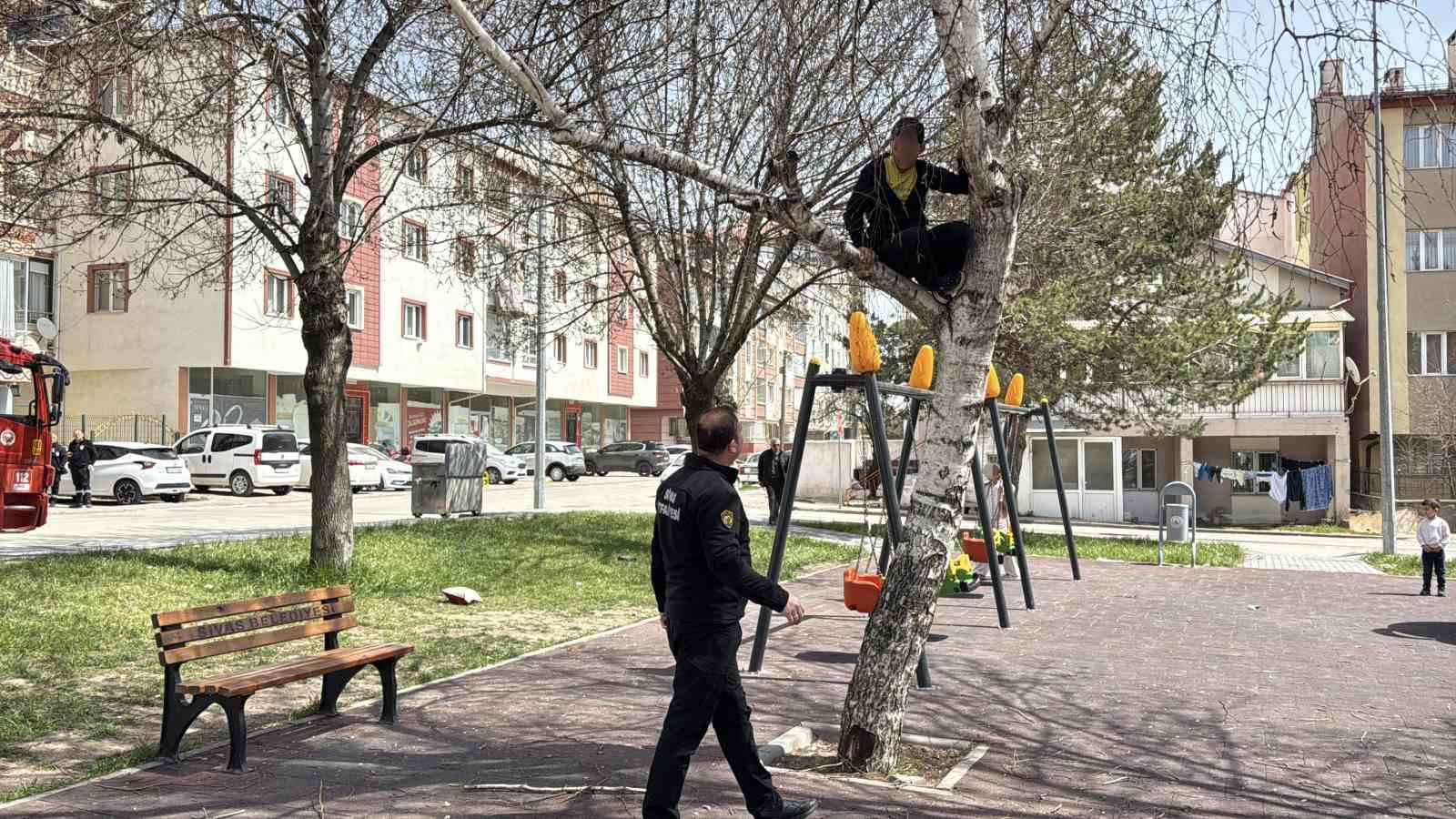 topu almak icin ciktigi agactan inemeyen cocuk itfaiyeden yardim istedi 0 6aSlA75F