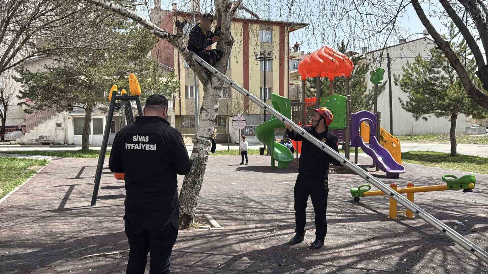 topu almak icin ciktigi agactan inemeyen cocuk itfaiyeden yardim istedi 1 IkJlnabA
