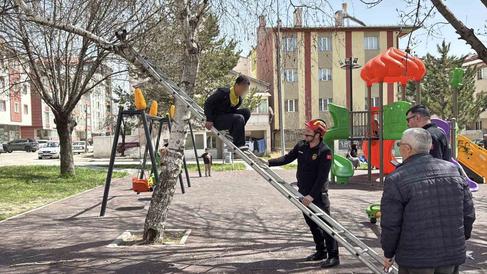 topu almak icin ciktigi agactan inemeyen cocuk itfaiyeden yardim istedi 2 pK7JMmSY