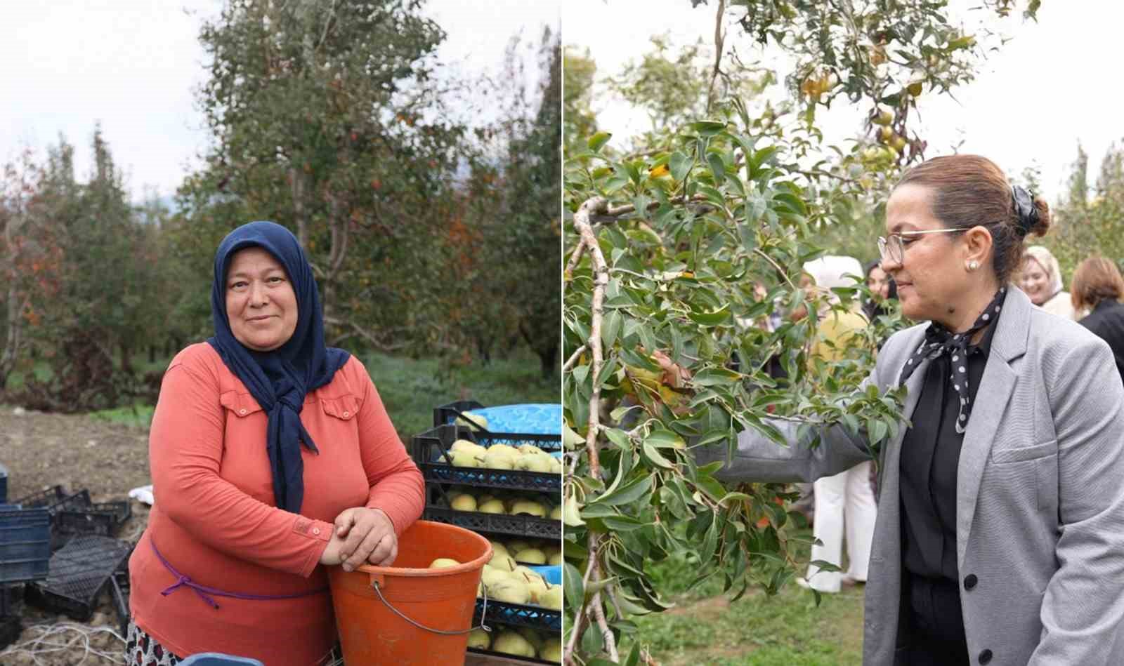 topuklu is kadinlari ile salvarli koylu kadinlari ayni tarlada 2 tFXIPGYA