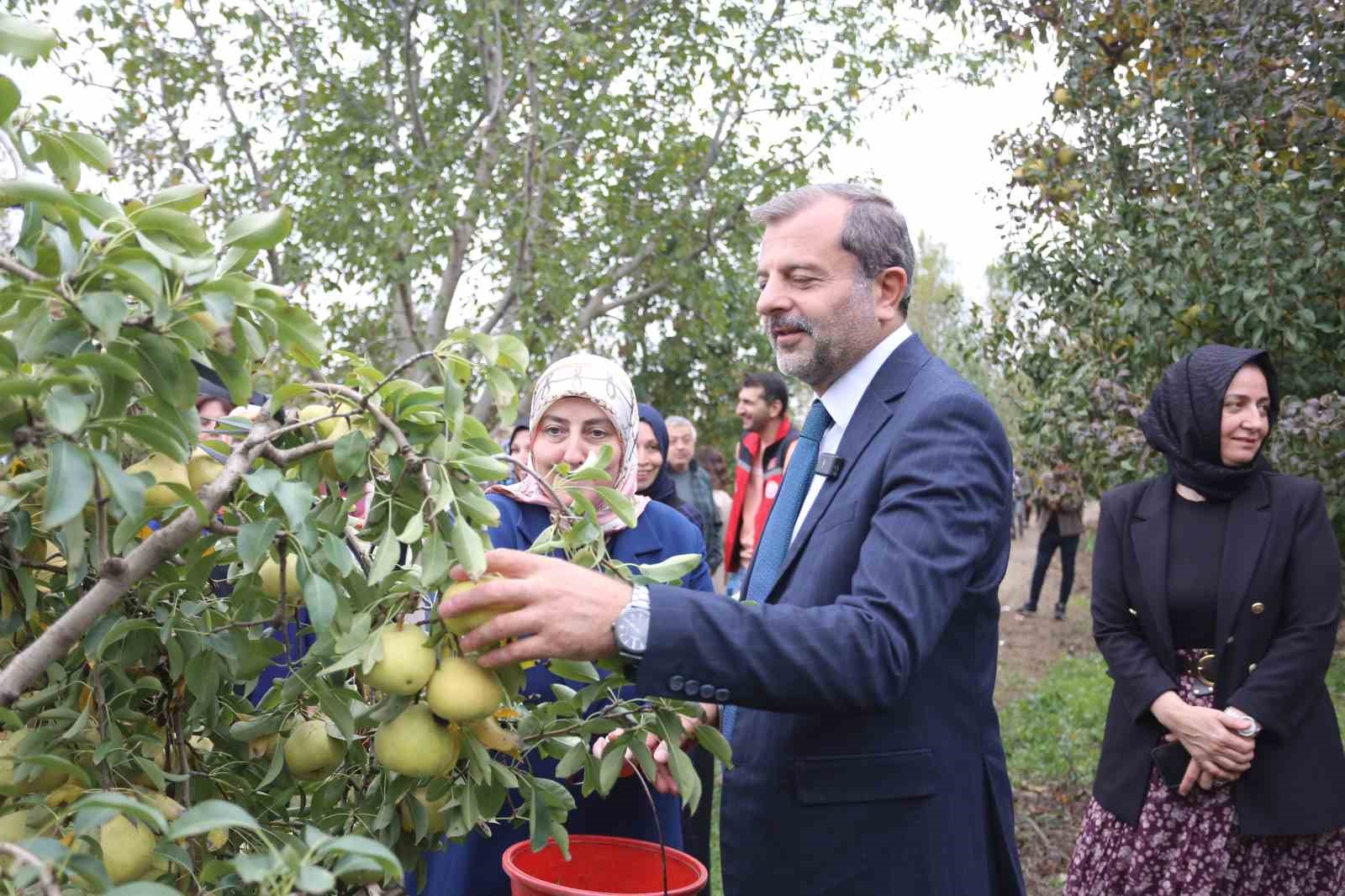 topuklu is kadinlari ile salvarli koylu kadinlari ayni tarlada 4 dASf2znz