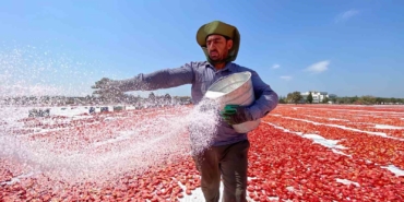 torbalida-domatesler-gunese-serildi-ova-kirmiziya-burundu-unkMJwm7.jpg