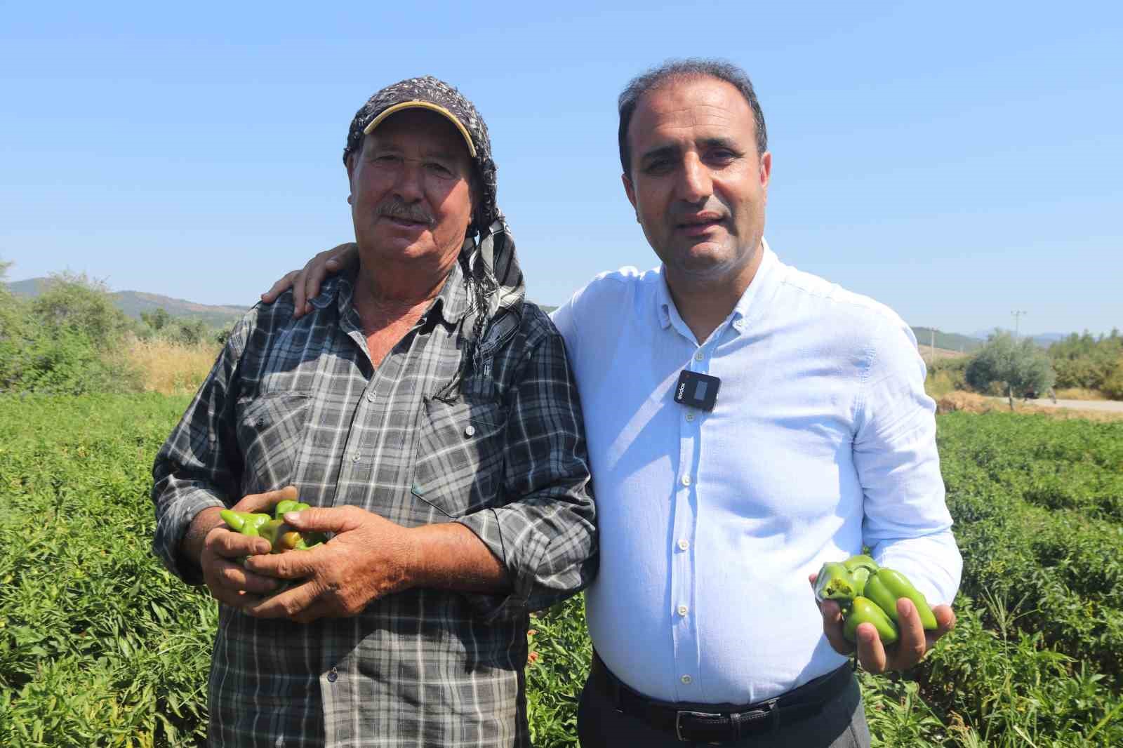 Torbalı’dan Urfa’ya biber çağrısı: "Acımızı yarıştıralım" 5 torbalidan urfaya biber cagrisi acimizi yaristiralim 1 6vqpEVLM