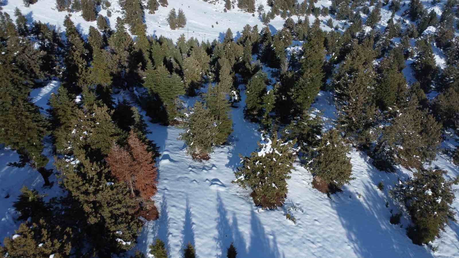toroslarda kar guzelligi cocugu da yaslisi da doyasiya eglendi 2 Aktg33MV