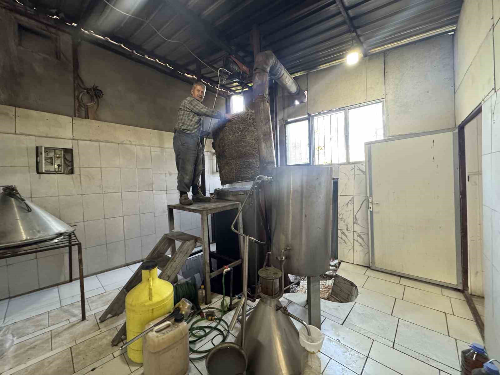 Toroslar’da yetişen 31 farklı bitkinin yağını çıkartıp ülkenin dört bir yanına gönderiyor 10 toroslarda yetisen 31 farkli bitkinin yagini cikartip ulkenin dort bir yanina gonderiyor 6 PyCKLziC