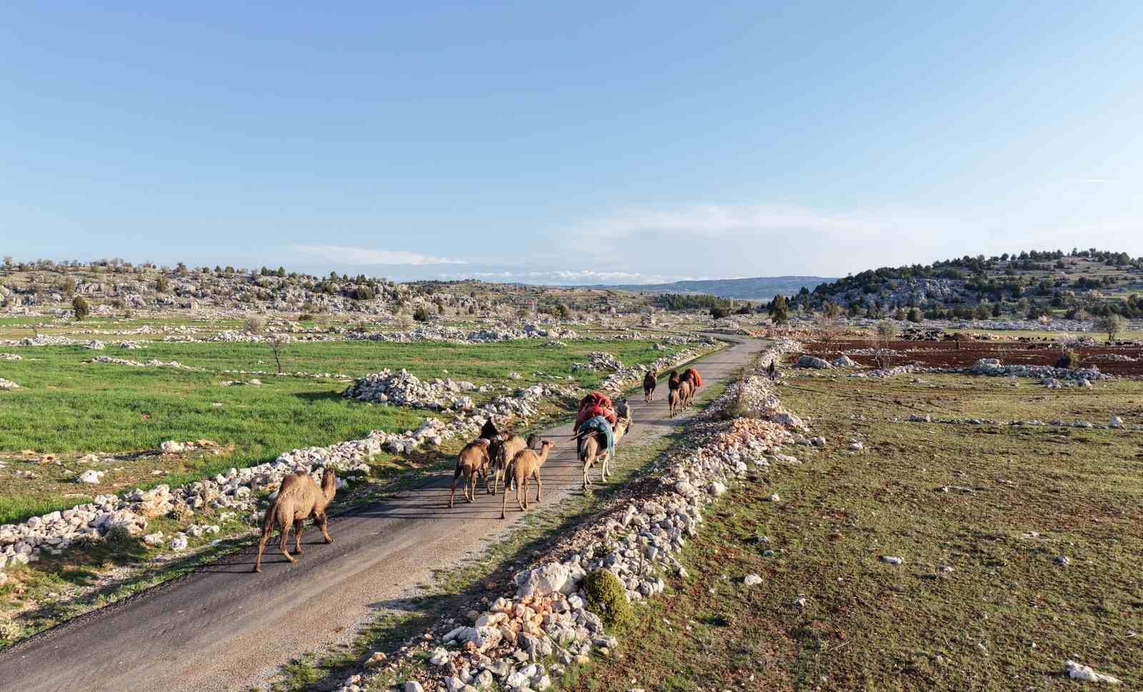 toroslarda yoruk gocu basladi sarikecililer yayla yolunda 10
