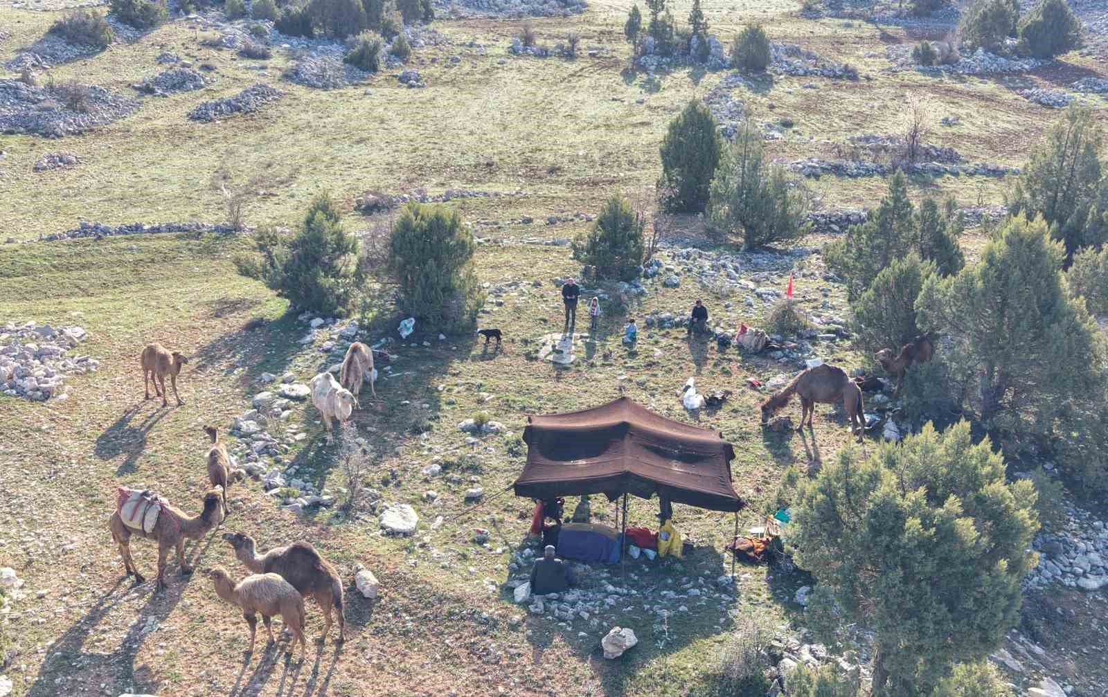 toroslarda yoruk gocu basladi sarikecililer yayla yolunda 11 OYNzwIvk