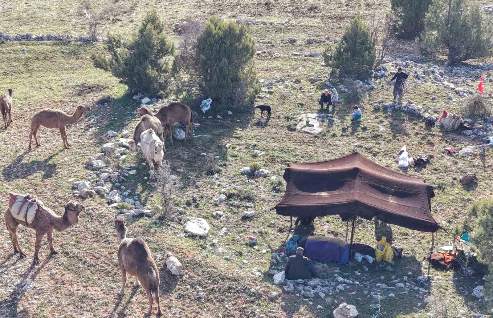 toroslarda yoruk gocu basladi sarikecililer yayla yolunda 12
