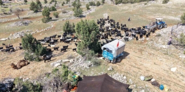 toroslarda-yoruk-gocu-basladi-sarikecililer-yayla-yolunda-1jkJfygS.jpg