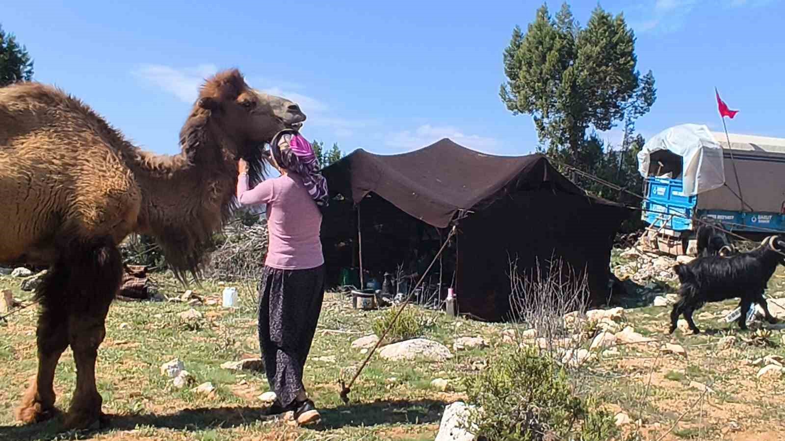 toroslarda yoruk gocu basladi sarikecililer yayla yolunda 8 DHYR8u6G