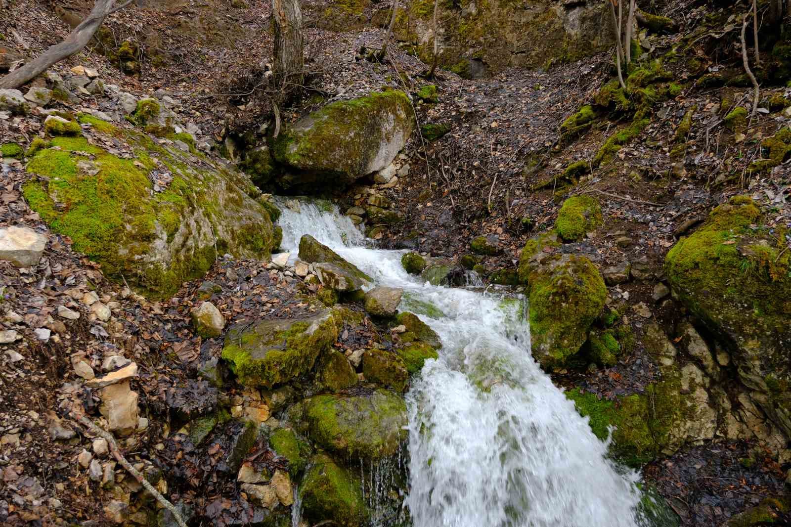 torulun gizemli su kaynaklari gulacar koyunde mevsimsel doga olayi 2 pNuPGEJ8