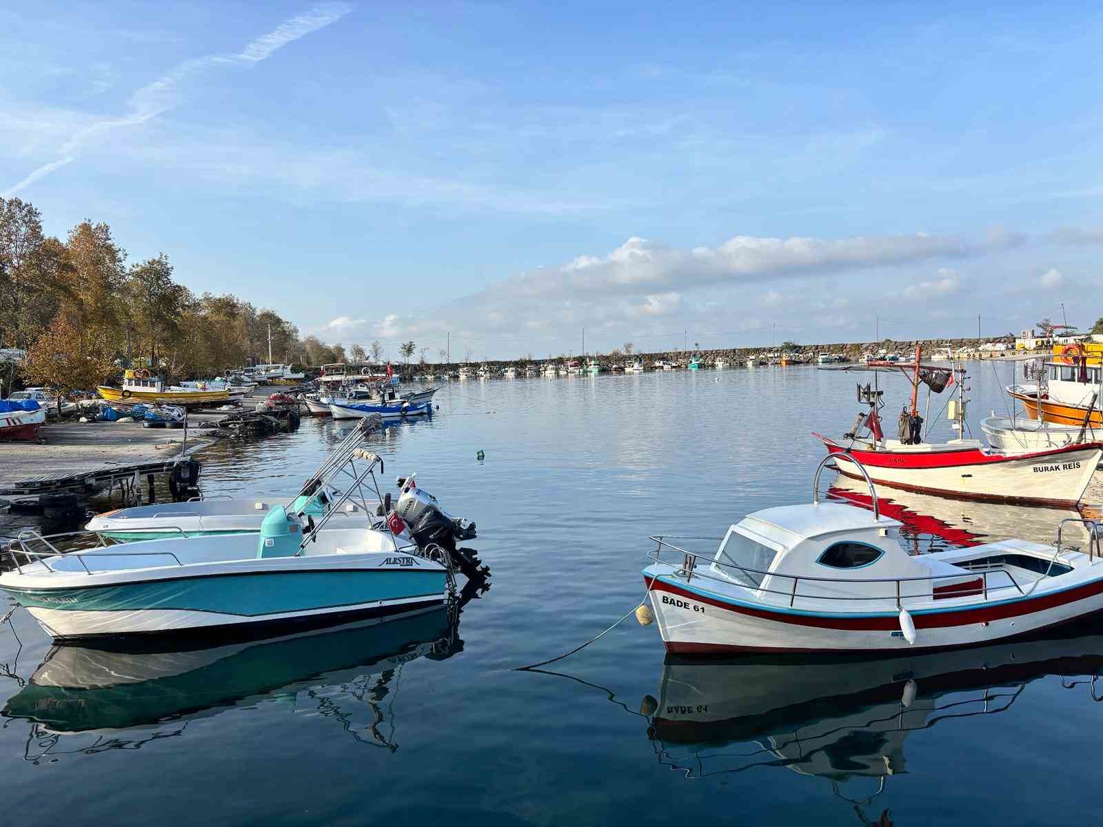 trabzon kiyilarinda kopek baligi hareketliligi artti 3 2e44bz8c