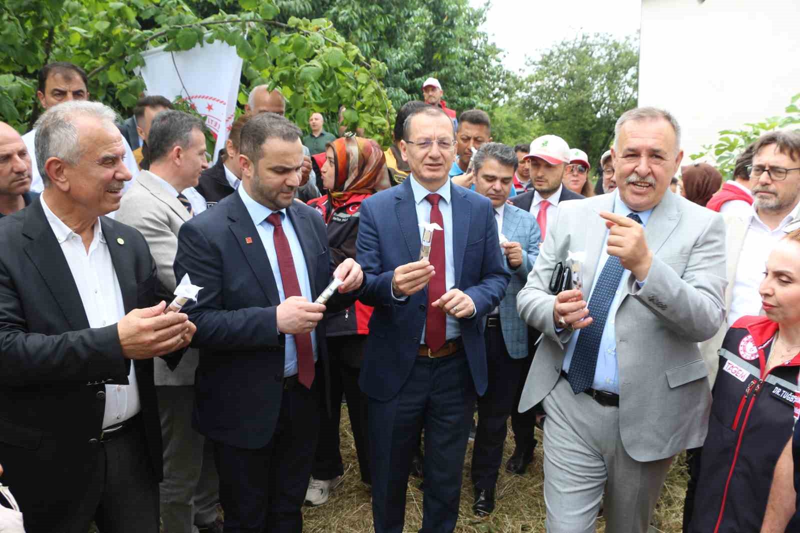 trabzonda kahverengi kokarcaya karsi dogal ordu goreve basladi 5