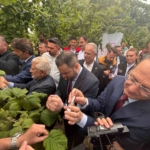 trabzonda-kahverengi-kokarcaya-karsi-dogal-ordu-goreve-basladi-8fWGUOsk.jpg
