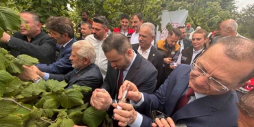 trabzonda-kahverengi-kokarcaya-karsi-dogal-ordu-goreve-basladi-8fWGUOsk.jpg
