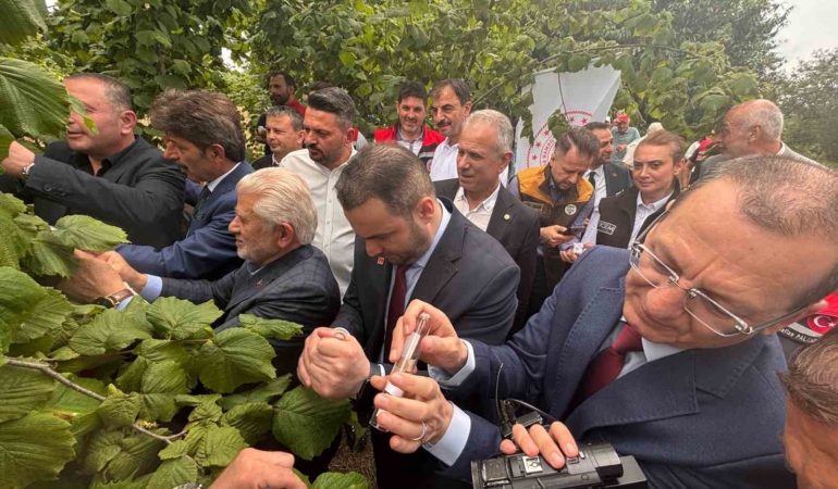 trabzonda-kahverengi-kokarcaya-karsi-dogal-ordu-goreve-basladi-8fWGUOsk.jpg
