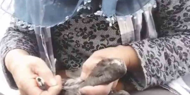 trabzonda-karabatak-kurtarma-operasyonu-gulumsetti-JsntZ9Db.jpg