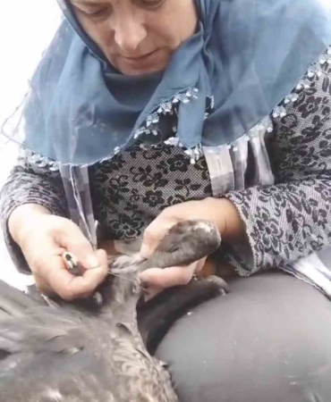 trabzonda-karabatak-kurtarma-operasyonu-gulumsetti-JsntZ9Db.jpg