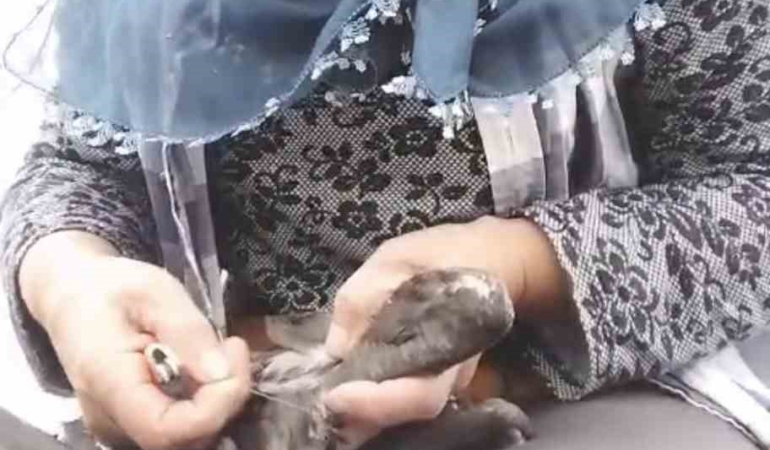 trabzonda-karabatak-kurtarma-operasyonu-gulumsetti-JsntZ9Db.jpg