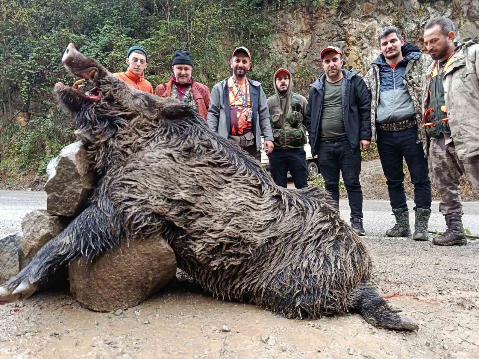 trabzonda surek avinda 300 kglik domuz fiseklerin hedefi oldu 2 ZWcAjrjA