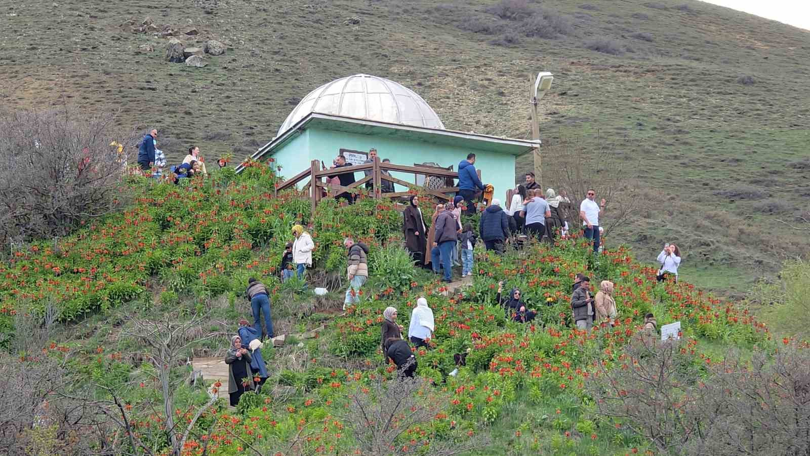 trabzondan gelen ziyaretciler ters lalelere hayran kaldi 10 g82aBtFe