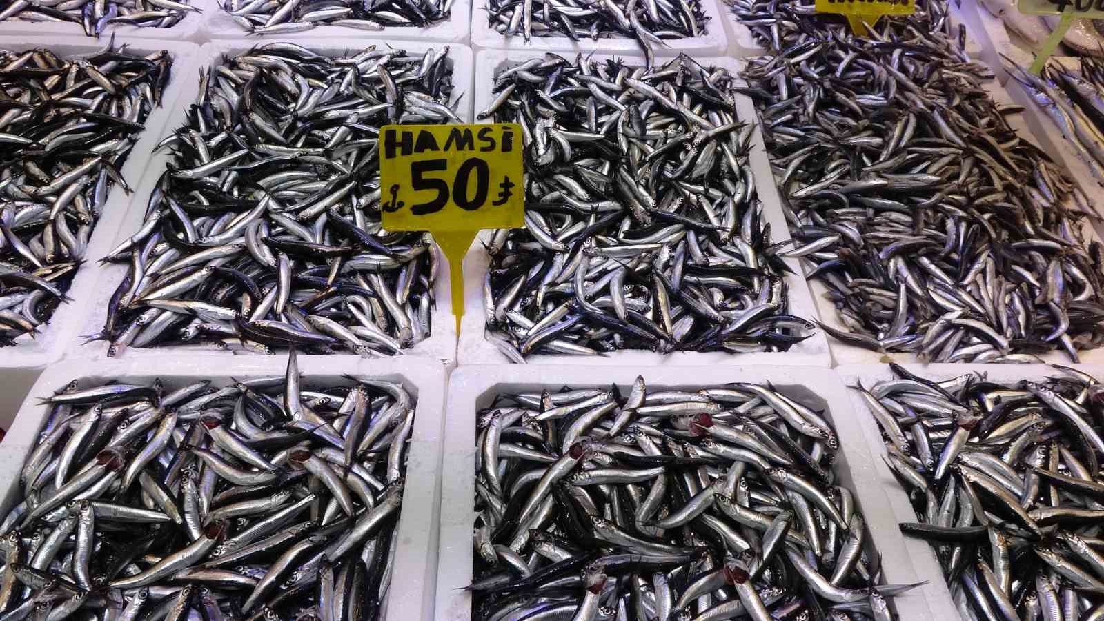 trabzonlular hamsiye doydu 3 fXehivNS