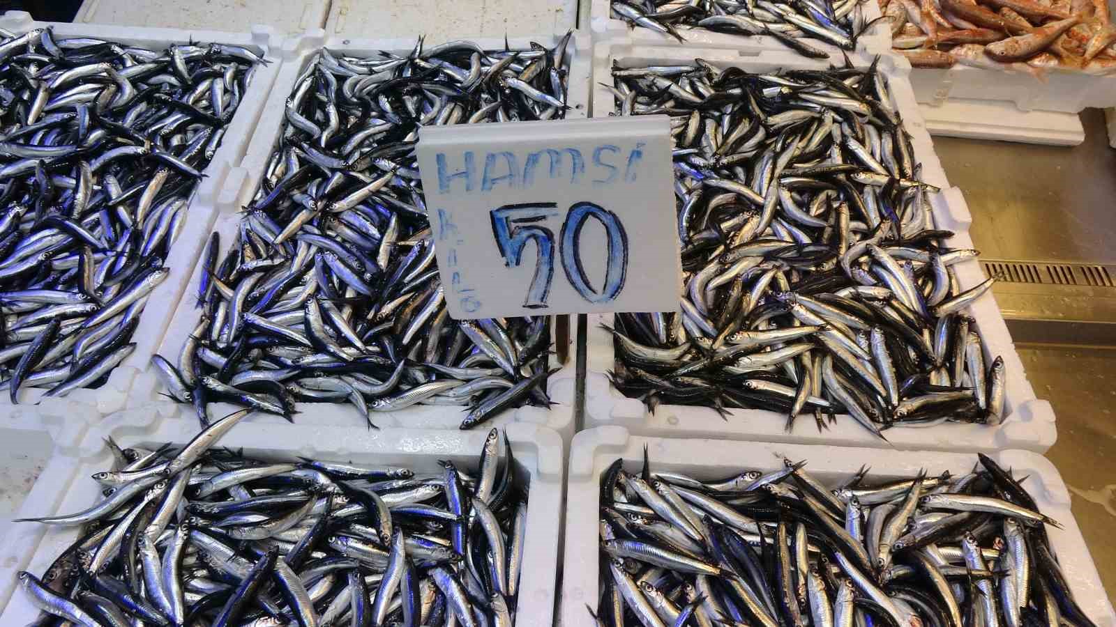trabzonlular hamsiye doydu 6 APAcnse8