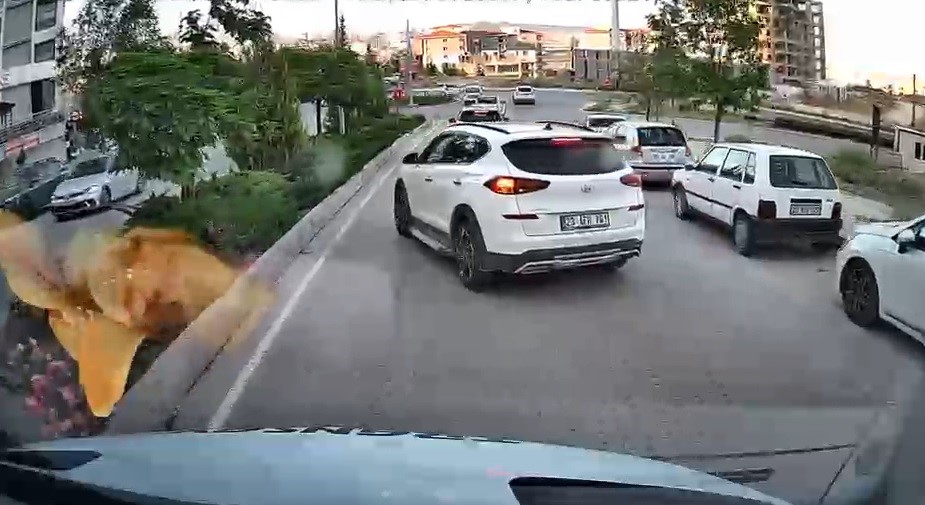 trafikte yol kesip tepki gosteren surucu kamerada 1 D8rTjjkj