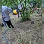 traktore-bagli-ilaclama-motorunun-altinda-kalan-kadin-hayatini-kaybetti-Yus2Y2bM.jpg