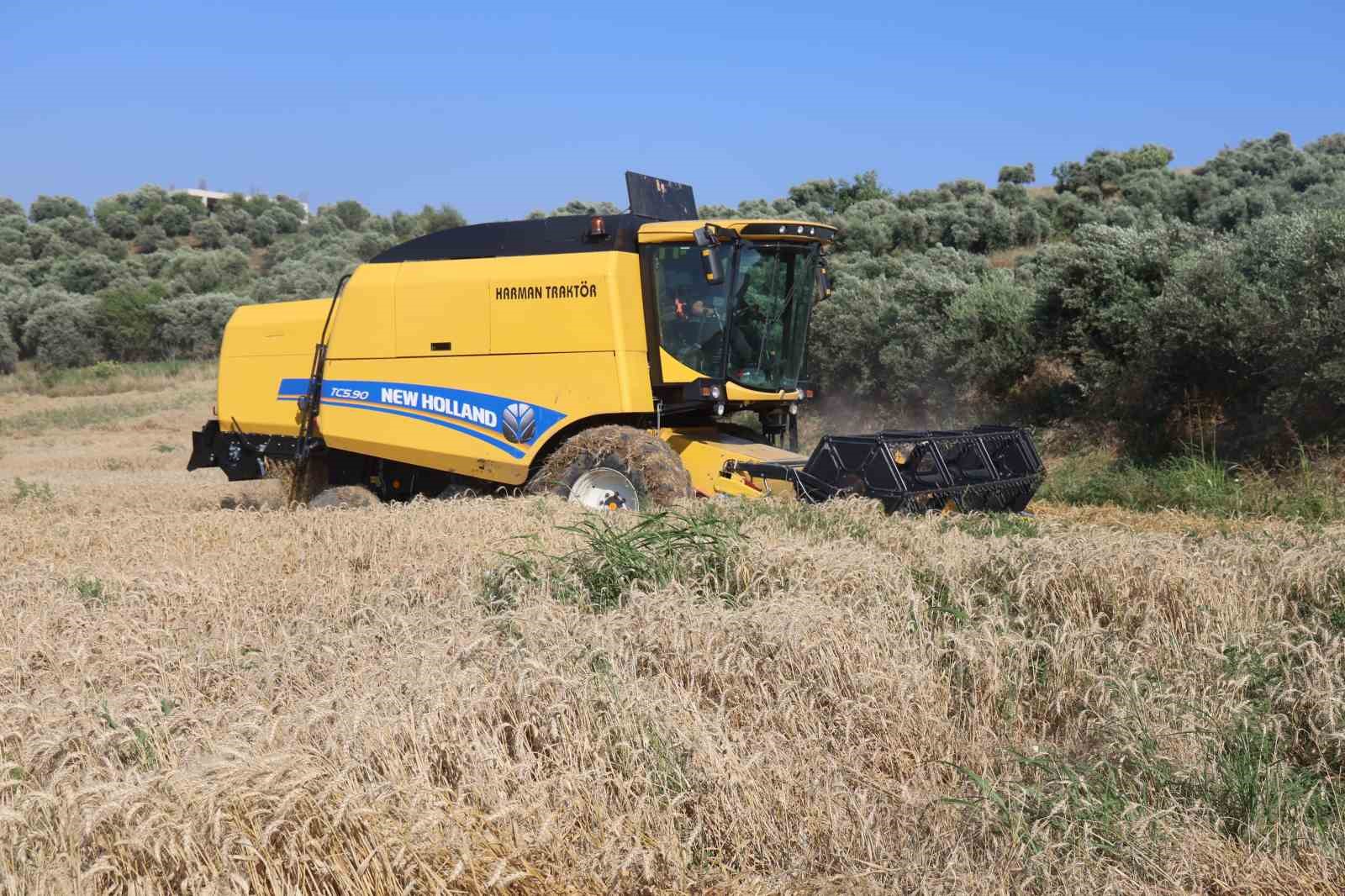 Traktörün pulluğuna takılarak ölümle burun buruna gelen çiftçinin korku dolu anları kamerada 7 traktorun pulluguna takilarak olumle burun buruna gelen ciftcinin korku dolu anlari kamerada 3 wWmqrKus