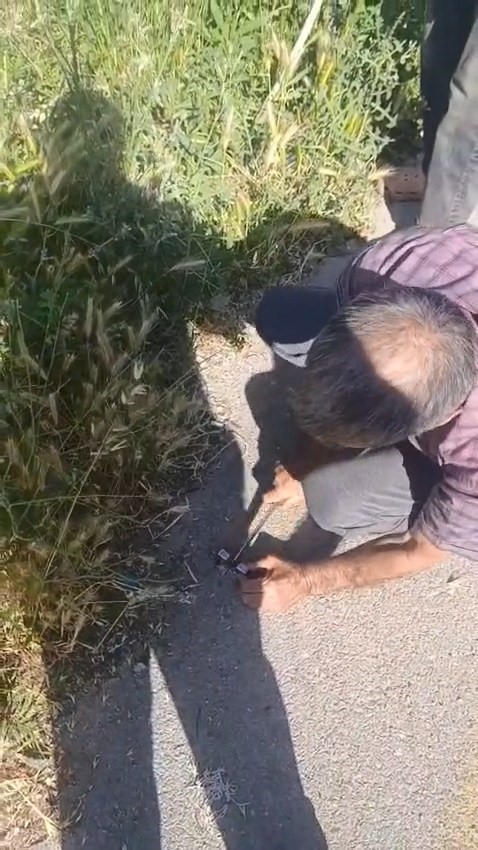 tren carpmasi sonucu raylara sikisan inegin telef olmamasi icin saniyelerle yaristilar 1 OSz1JEXF