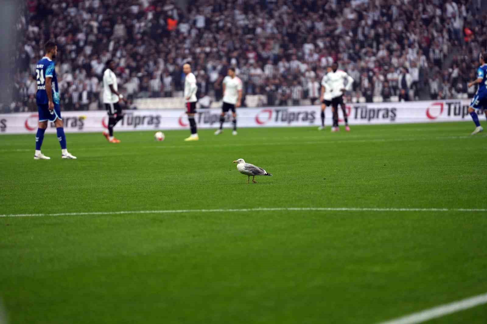 trendyol super lig besiktas 0 samsunspor 0 mac devam ediyor 20 mHJ5lUOm